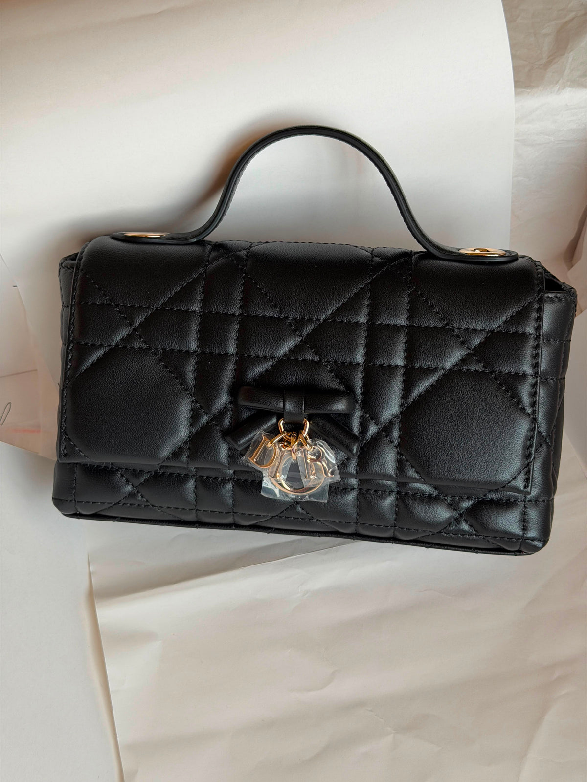 My Tender Dior Top Handle Mini Bag