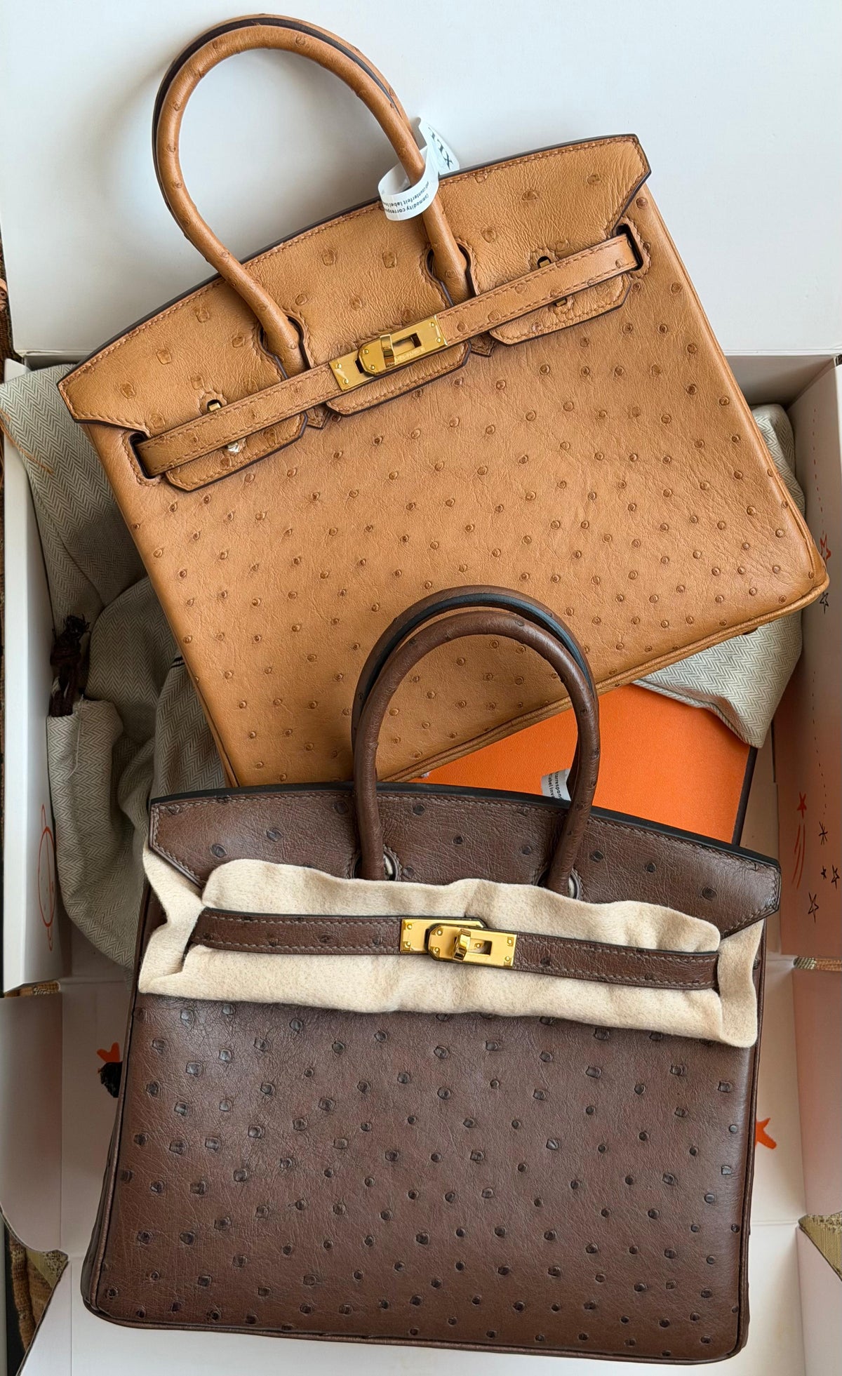 Hermes Birkin 25 cm In ostrich leather