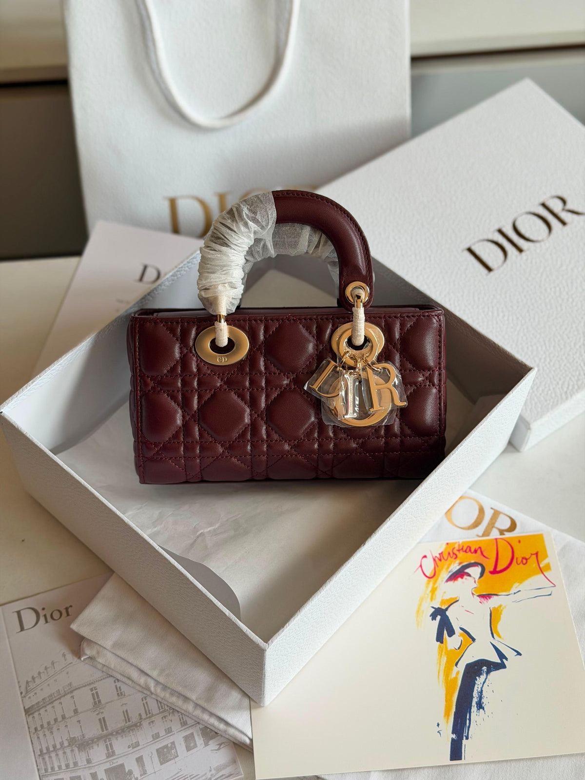 Dior Lady D-Joy Micro Bag