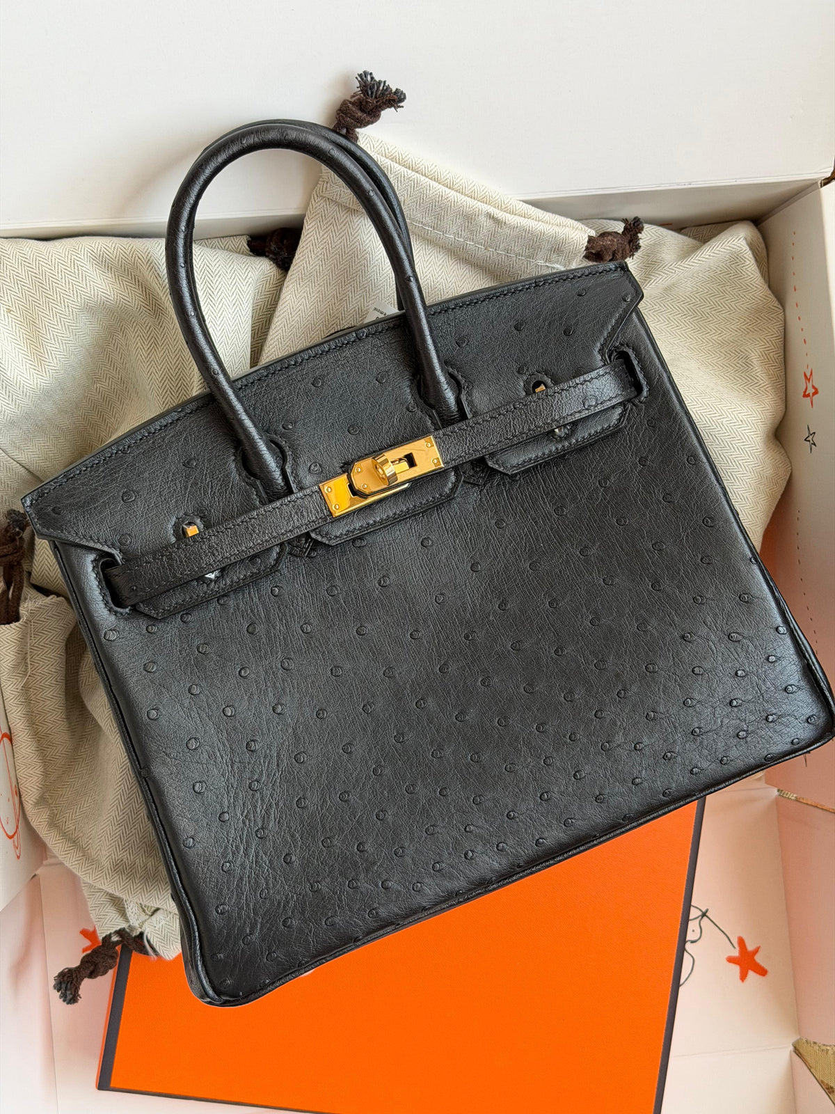 Hermes Birkin 25 cm In ostrich leather