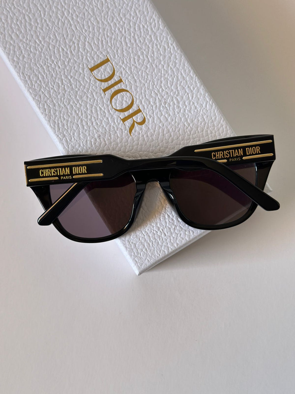 Christian Dior Acetate DiorSignature B4I Sunglasses