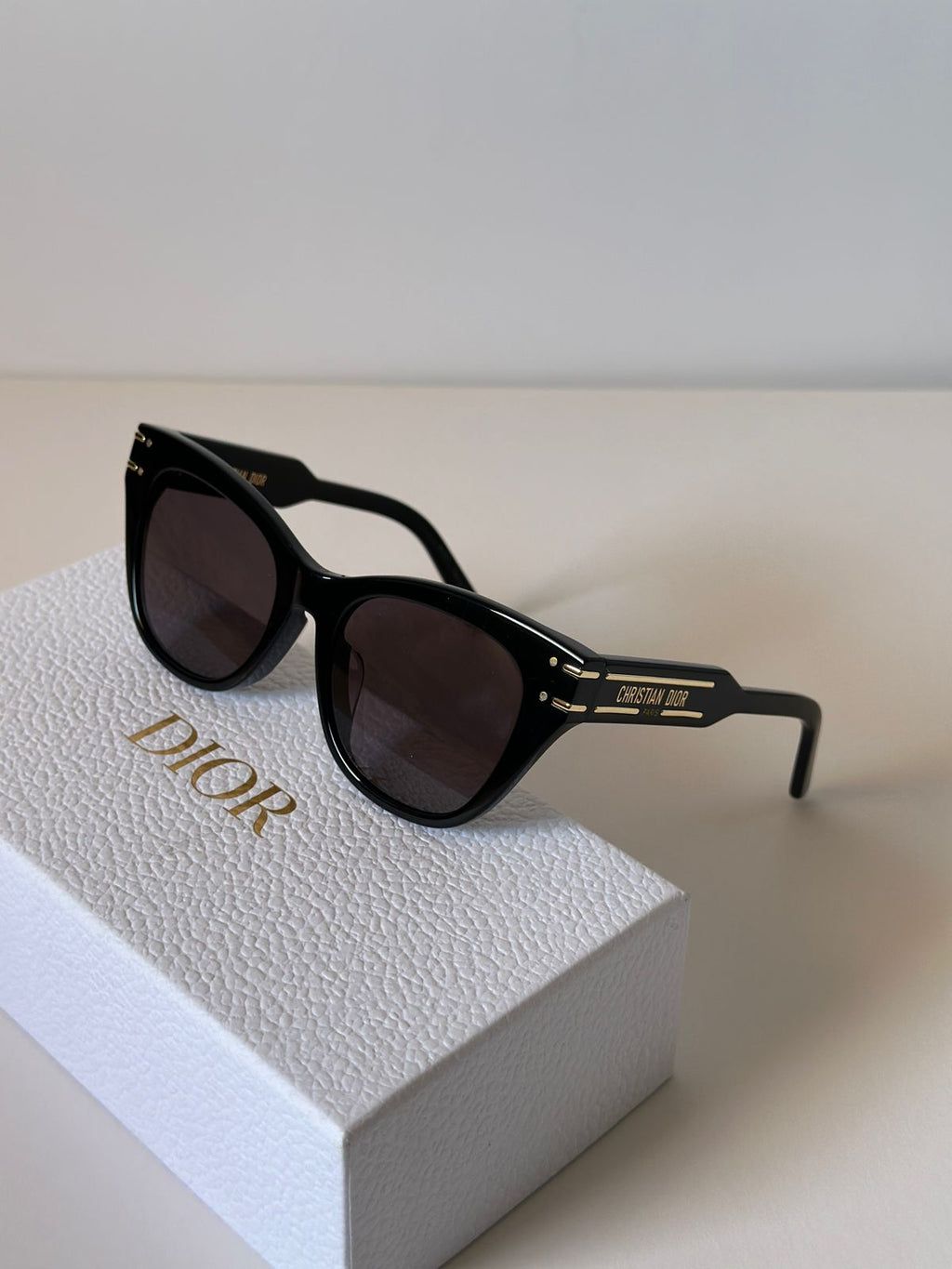 Christian Dior Acetate DiorSignature B4I Sunglasses