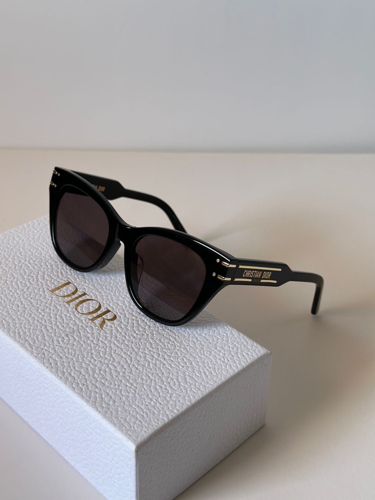 Christian Dior Acetate DiorSignature B4I Sunglasses