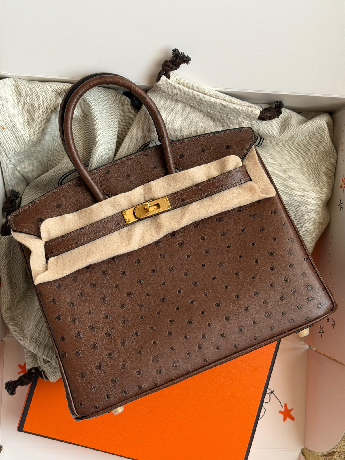 Hermes Birkin 25 cm In ostrich leather