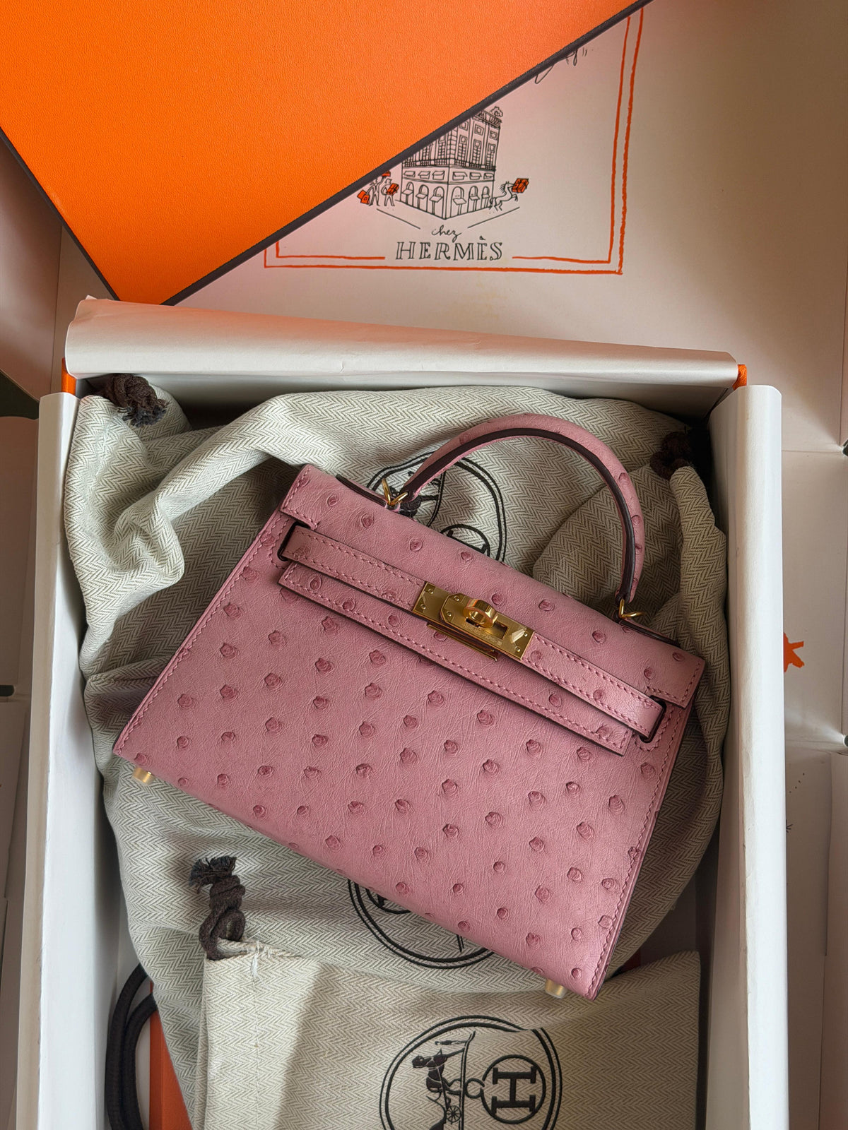 Hermes Mini Kelly In Real Ostrich Leather