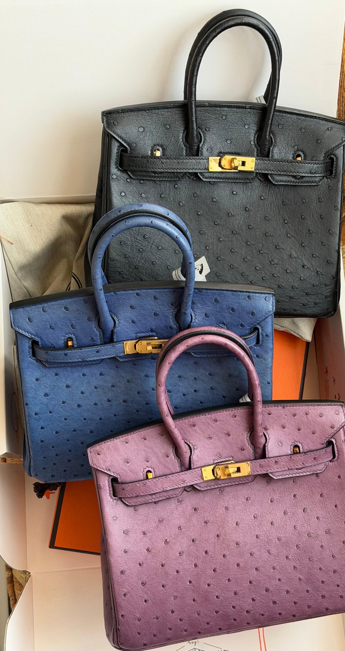 Hermes Birkin 25 cm In ostrich leather