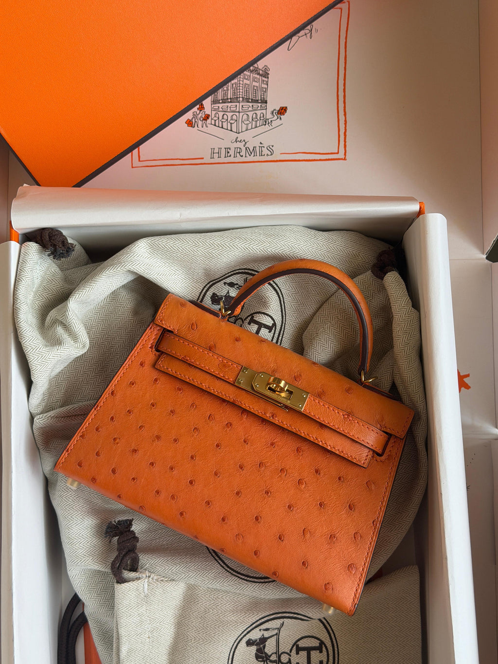 Hermes Mini Kelly In Real Ostrich Leather