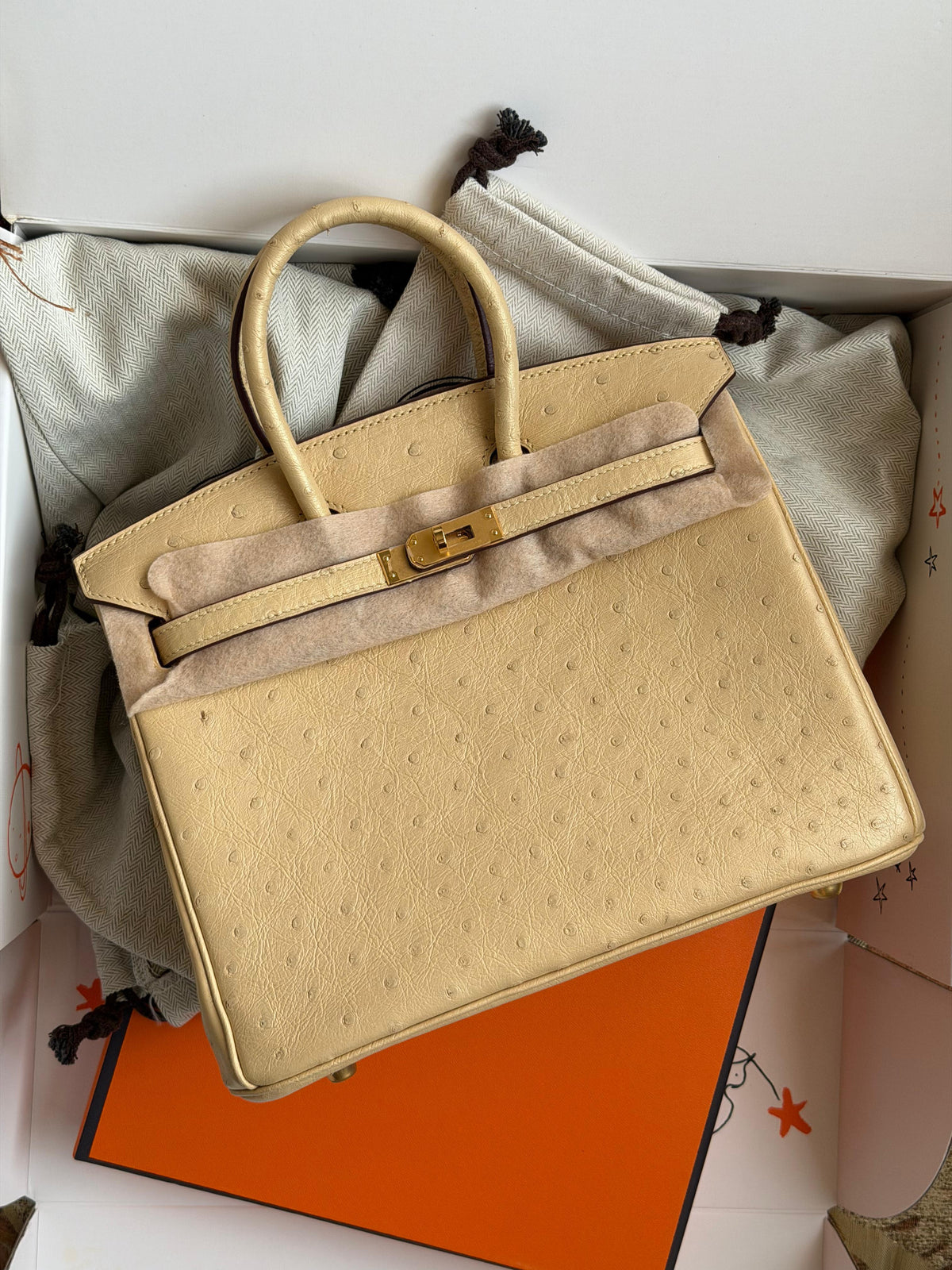 Hermes Birkin 25 cm In ostrich leather